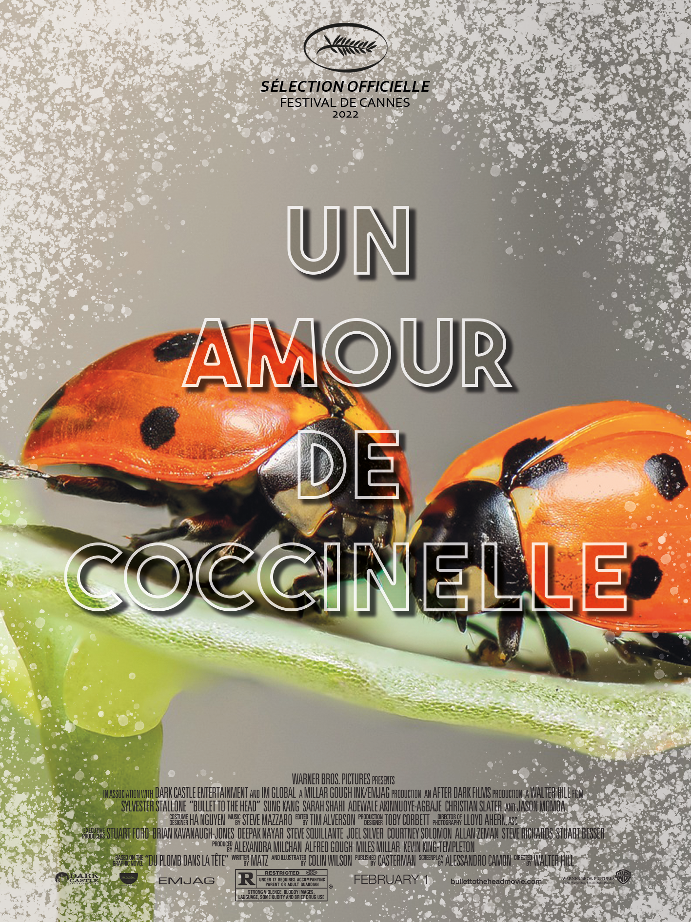 affiche de film un amour de coccinelle avec 2 coccinelles 